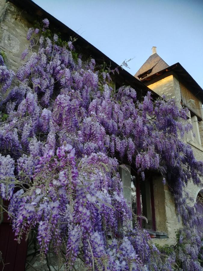 Chateau St.GaultierSaint-Gaultier エクステリア 写真