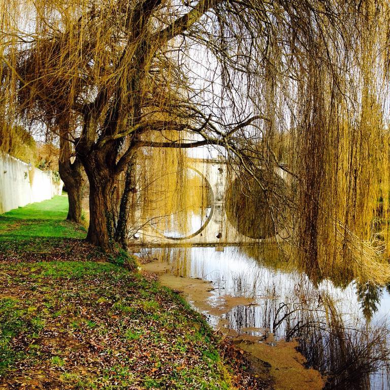 Chateau St.GaultierSaint-Gaultier エクステリア 写真