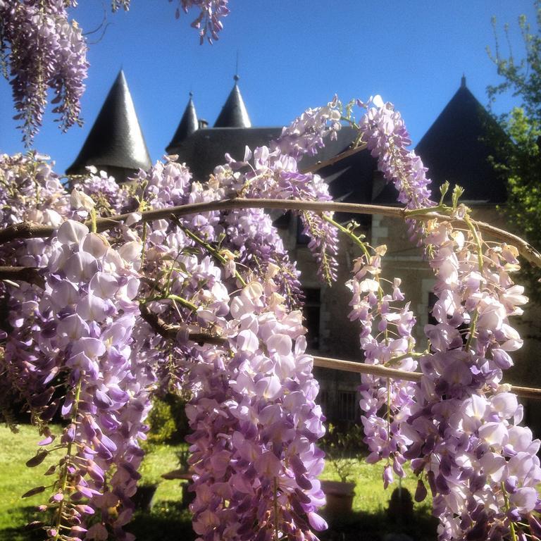 Chateau St.GaultierSaint-Gaultier エクステリア 写真